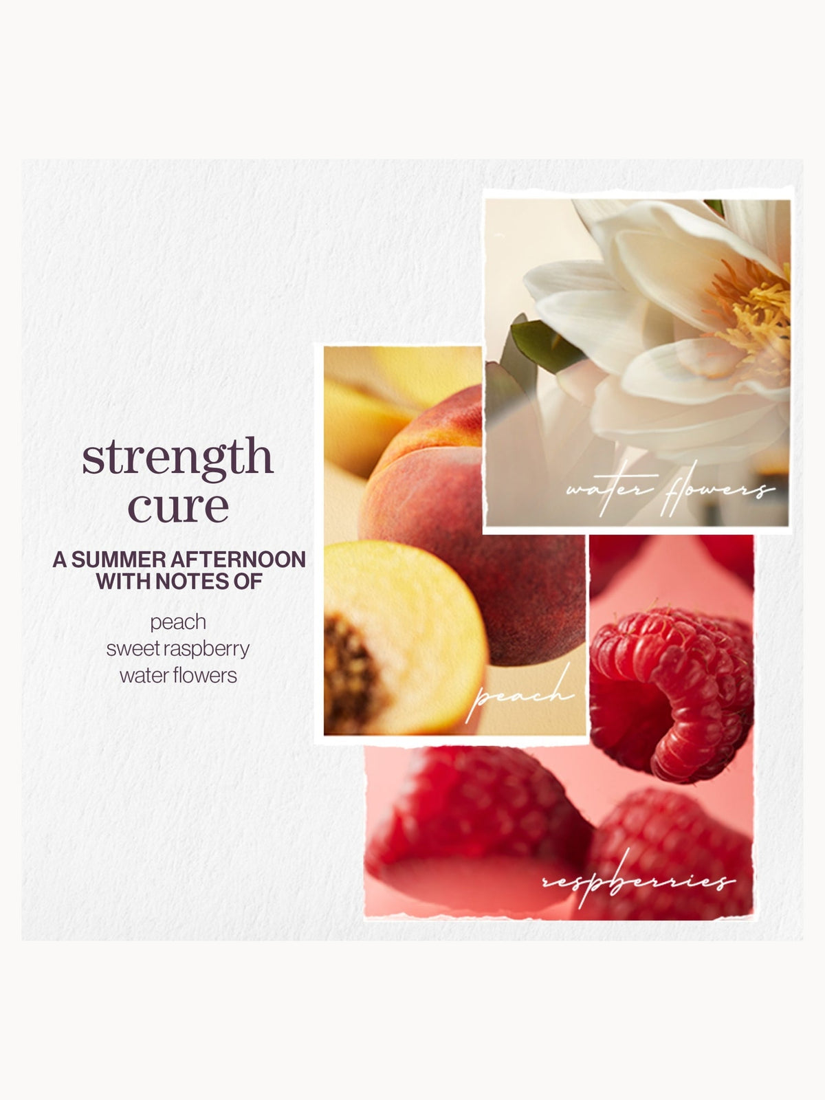 Pureology Strength Cure Strengthening Conditioner 1000ml – brand image 8